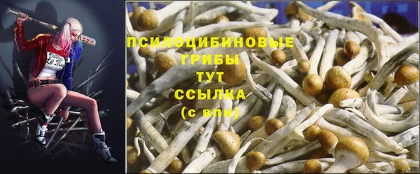гидропоника Волосово