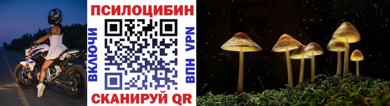 кракен зеркало  Партизанск  Галлюциногенные грибы GOLDEN TEACHER 